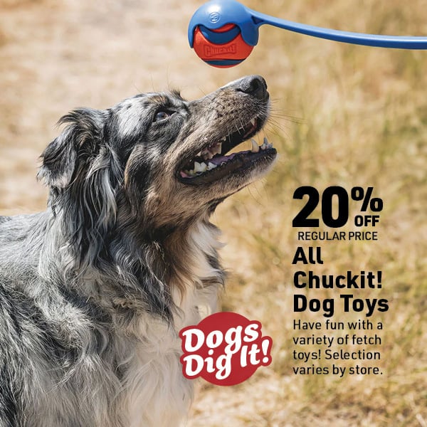 April 6 Landing Page Image1