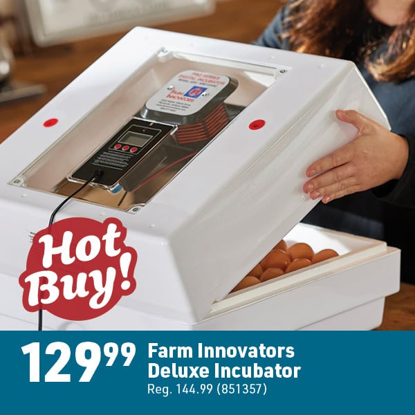 April 6 Landing Page Image12