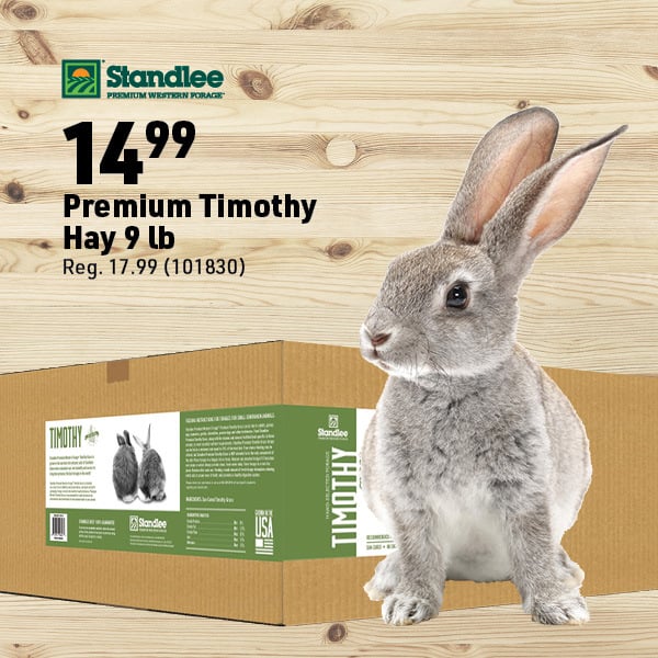 April 6 Landing Page Image14