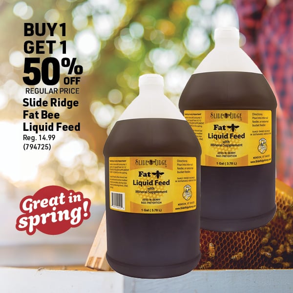 April 6 Landing Page Image16