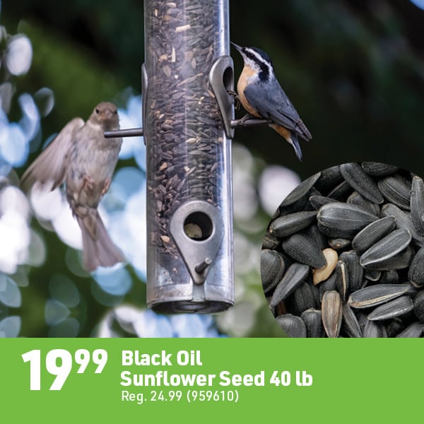 April 6 Landing Page Image17