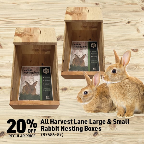 April 6 Landing Page Image21