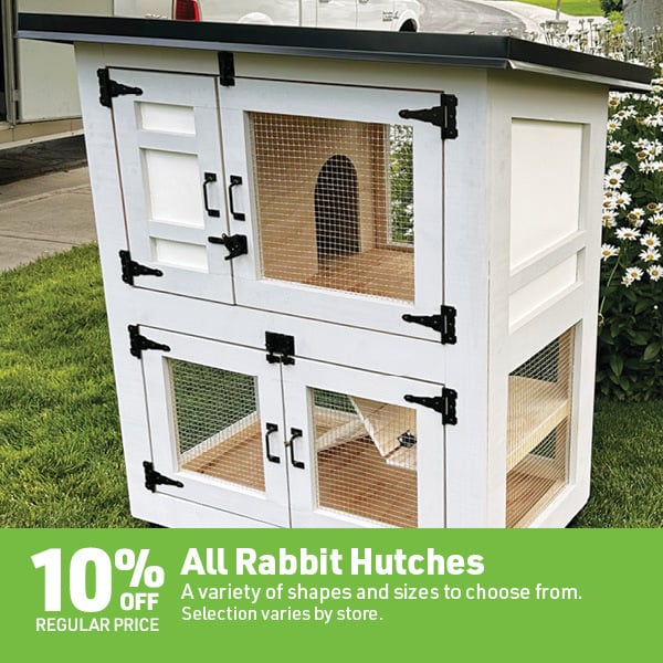 April 6 Landing Page Image23