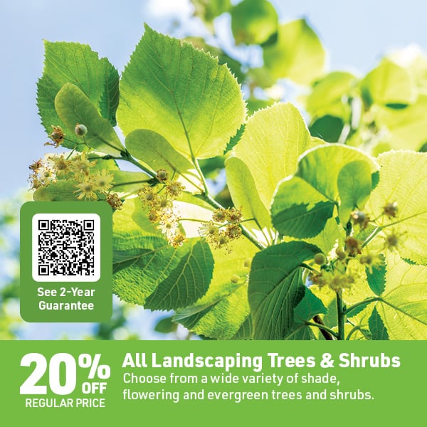 April 6 Landing Page Image28