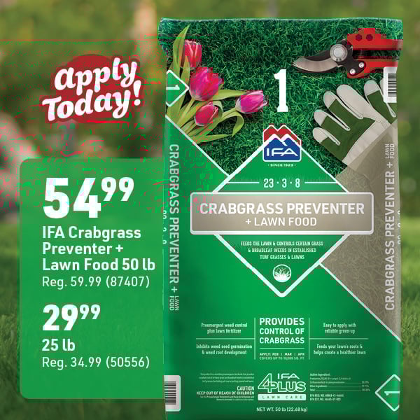 April 6 Landing Page Image3