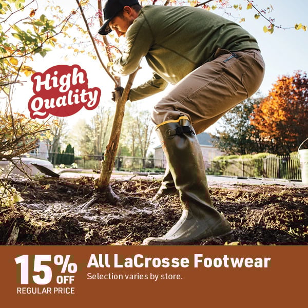 April 6 Landing Page Image37