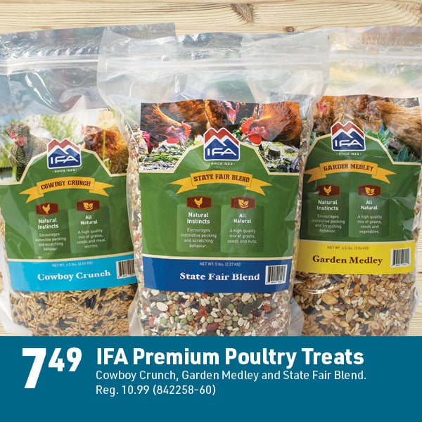 April 6 Landing Page Image40