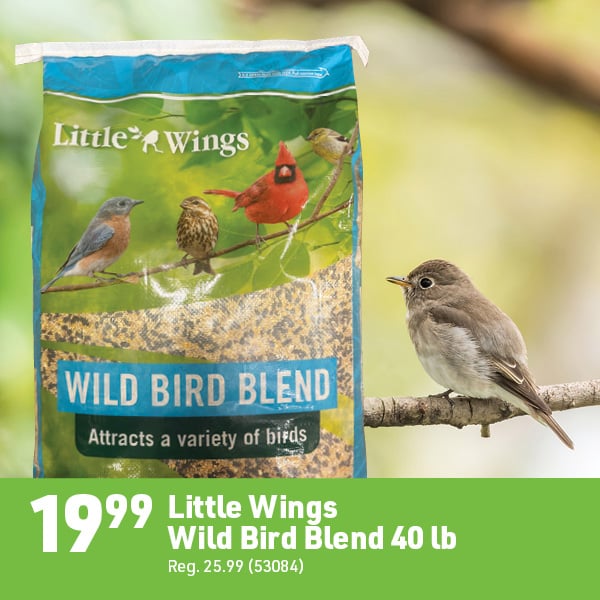 April 6 Landing Page Image41