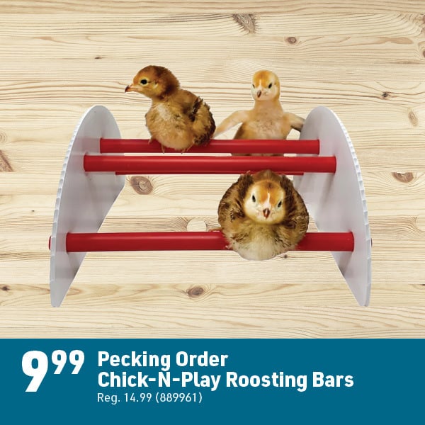 April 6 Landing Page Image42