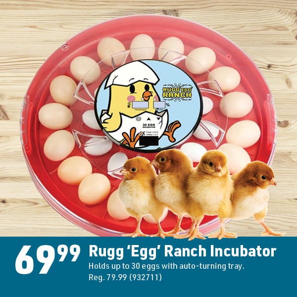 April 6 Landing Page Image44