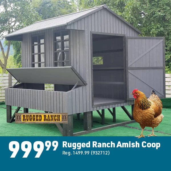 April 6 Landing Page Image45