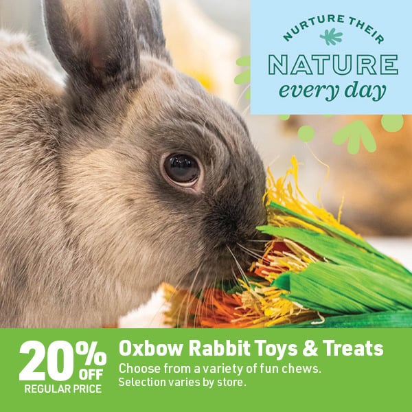 April 6 Landing Page Image48