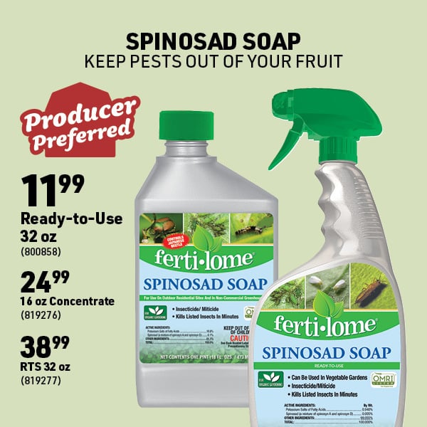 April 6 Landing Page Image5