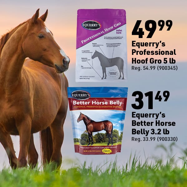 April 6 Landing Page Image50