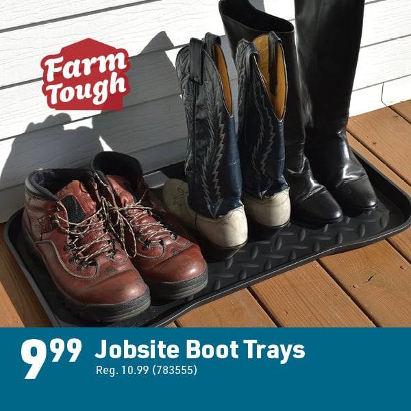 April 6 Landing Page Image53