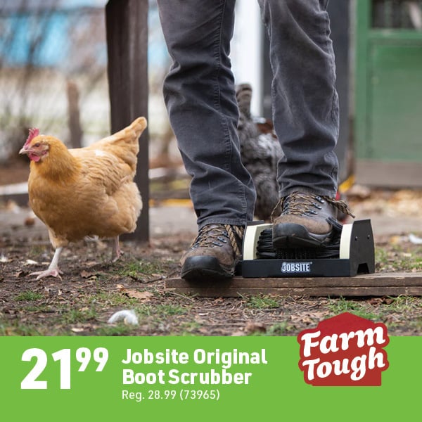 April 6 Landing Page Image54