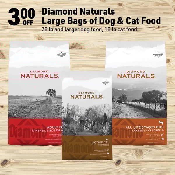 April 6 Landing Page Image56