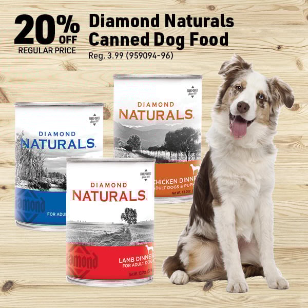 April 6 Landing Page Image57