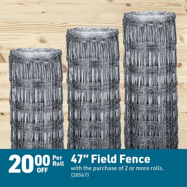 April 6 Landing Page Image62