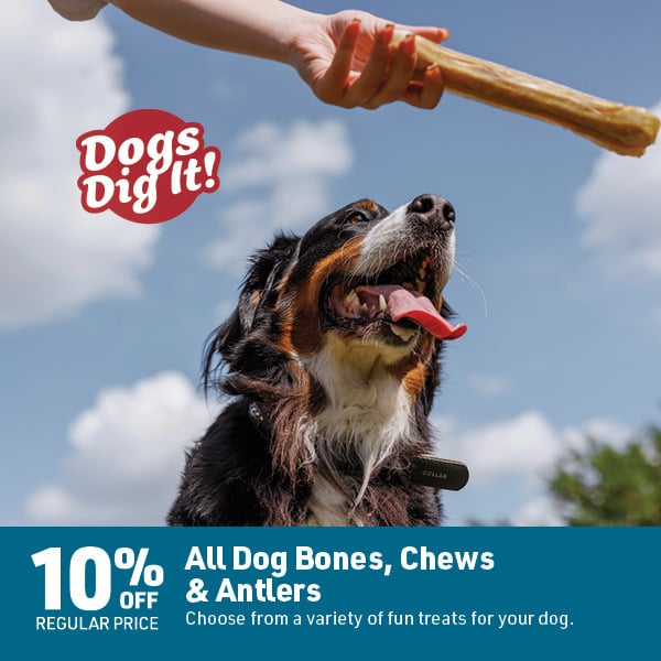 April 6 Landing Page Image68