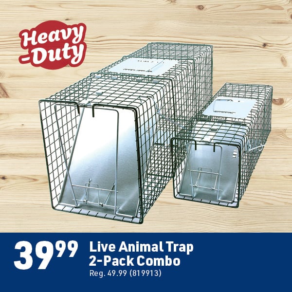 April 6 Landing Page Image69