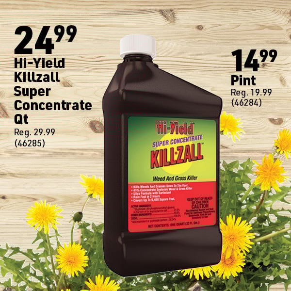 April 6 Landing Page Image78