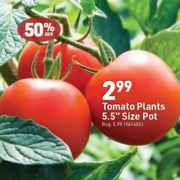 April 20 Landing Page Image