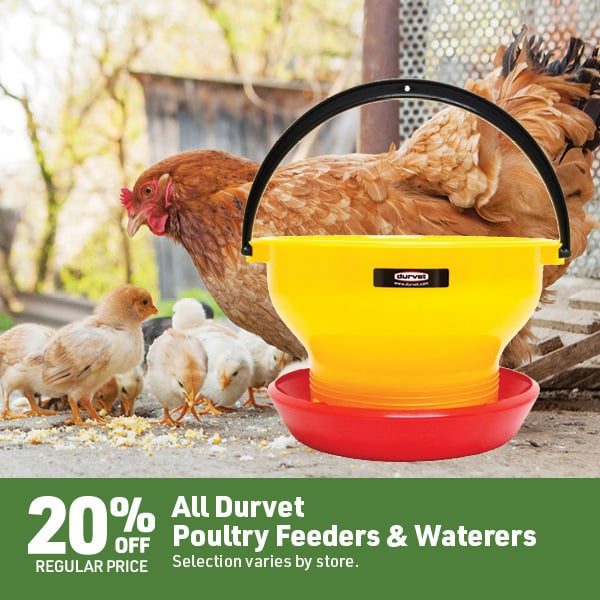 April 20 Landing Page Image114