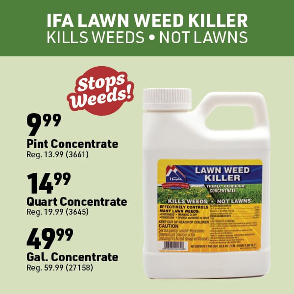 April 20 Landing Page Image13