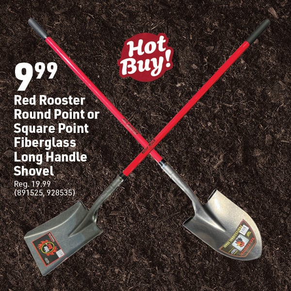 April 20 Landing Page Image14