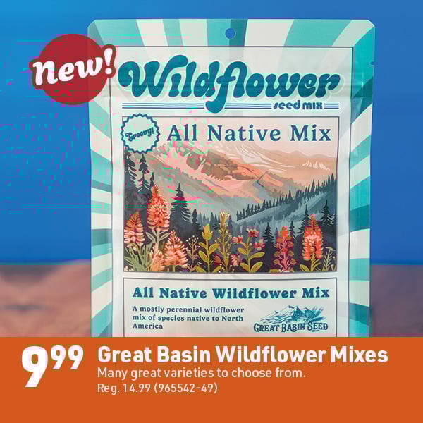 April 20 Landing Page Image15