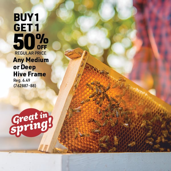 April 20 Landing Page Image16