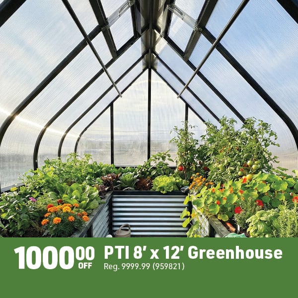 April 20 Landing Page Image17