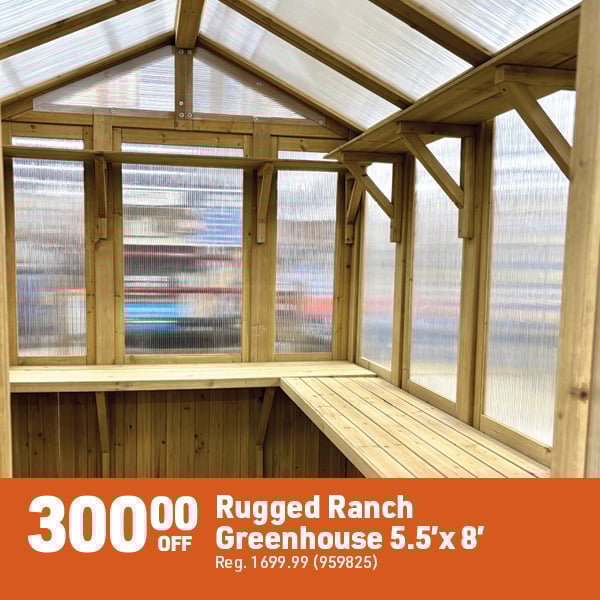 April 20 Landing Page Image18