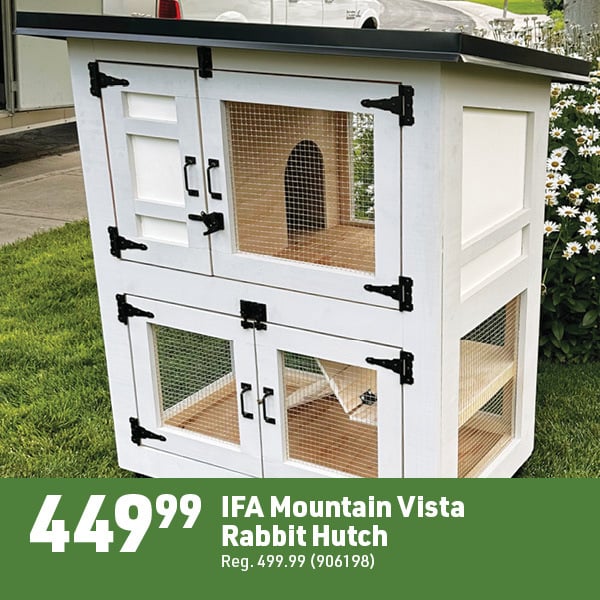 April 20 Landing Page Image23