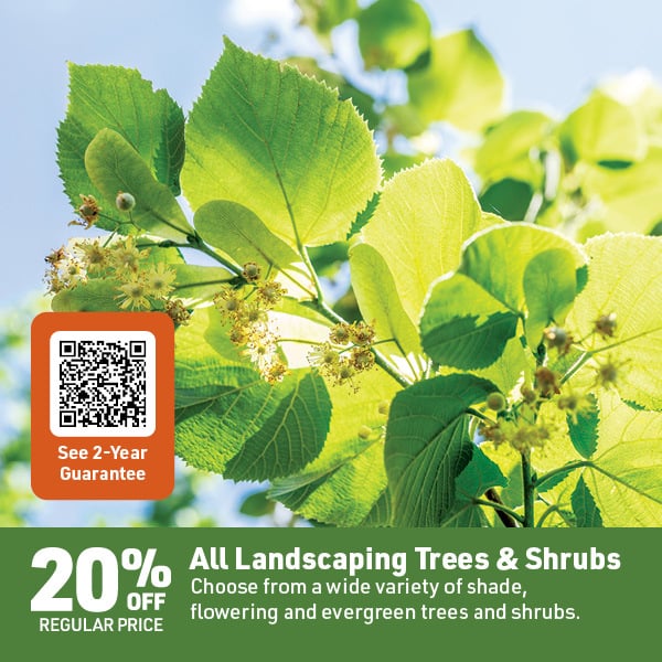 April 20 Landing Page Image28