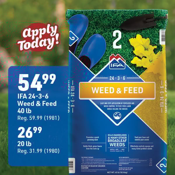 April 20 Landing Page Image3