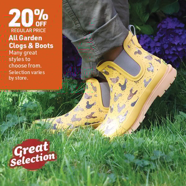 April 20 Landing Page Image32