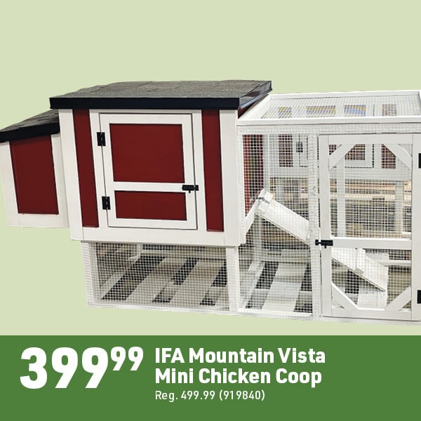 April 20 Landing Page Image35