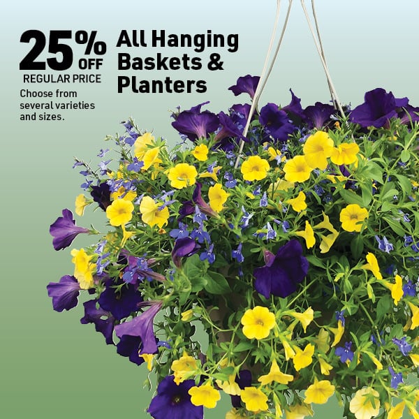 April 20 Landing Page Image4