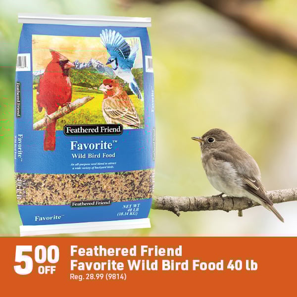 April 20 Landing Page Image40