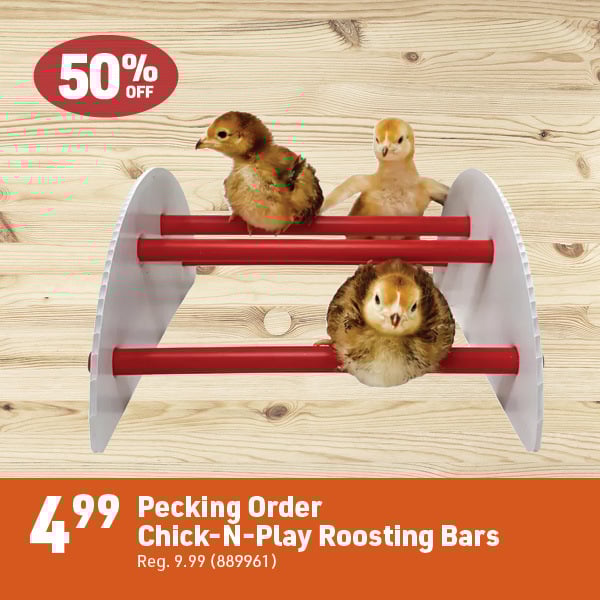 April 20 Landing Page Image41