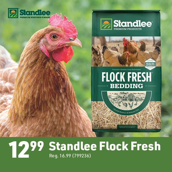 April 20 Landing Page Image43