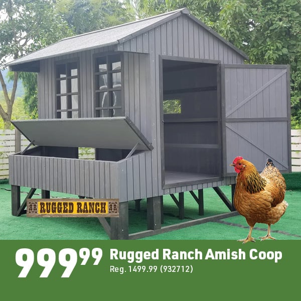 April 20 Landing Page Image44