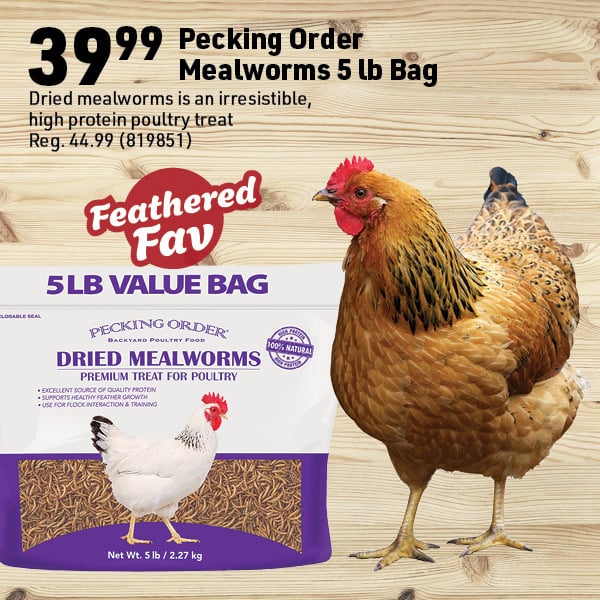 April 20 Landing Page Image46