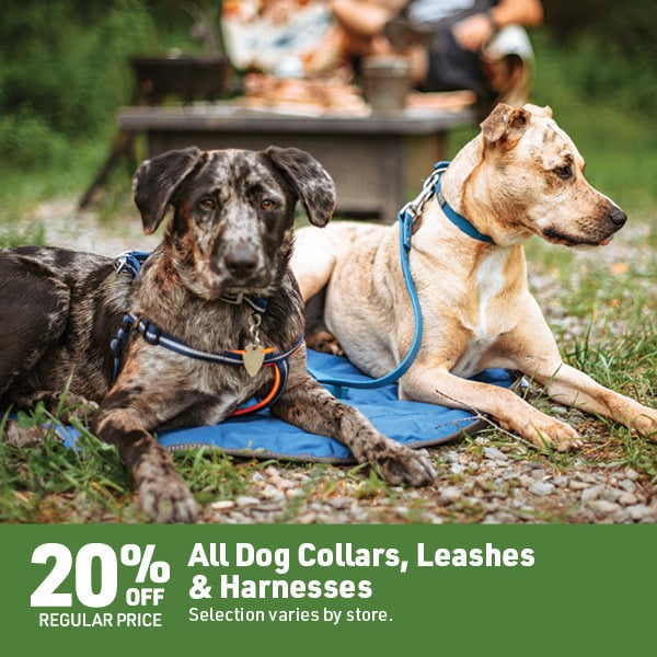 April 20 Landing Page Image48