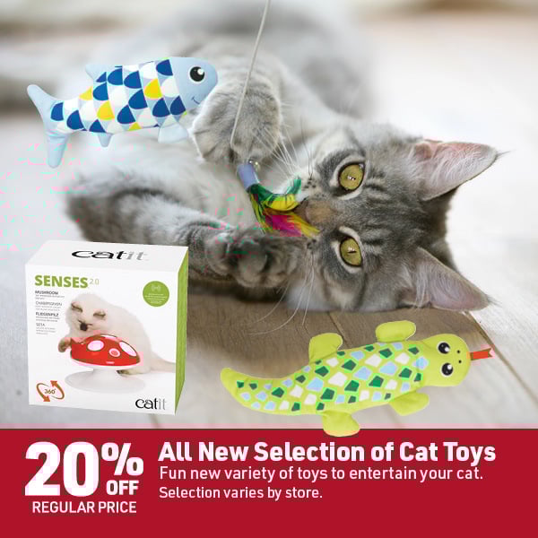 April 20 Landing Page Image51