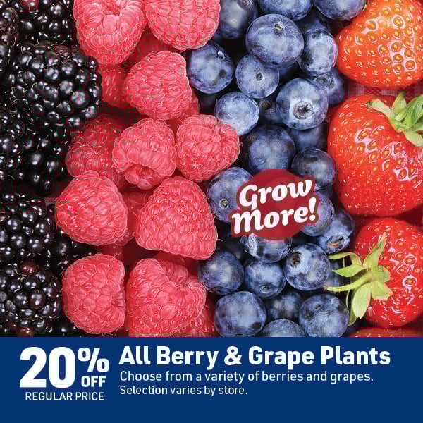 April 20 Landing Page Image6