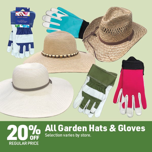 April 20 Landing Page Image61