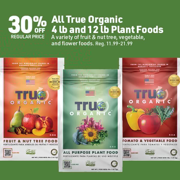 April 20 Landing Page Image7